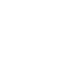 承接全國小鼠運輸