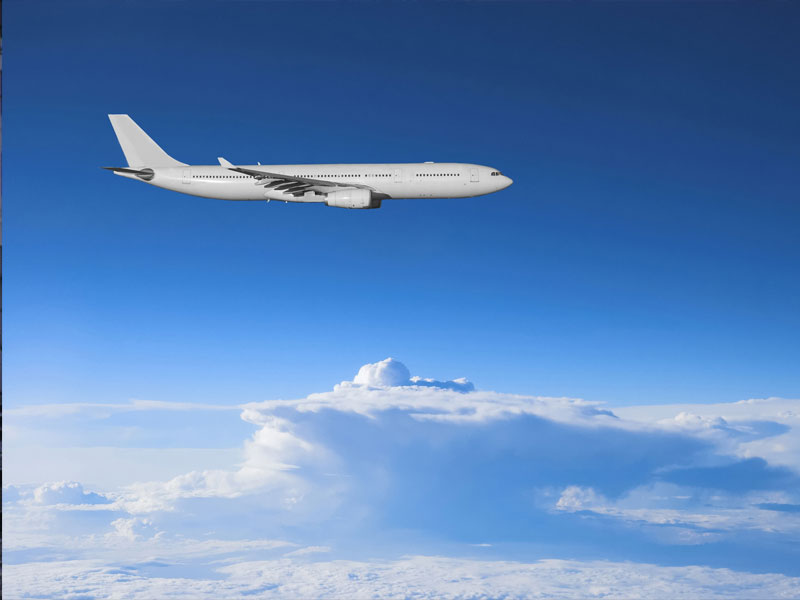 上海運輸小鼠的公司