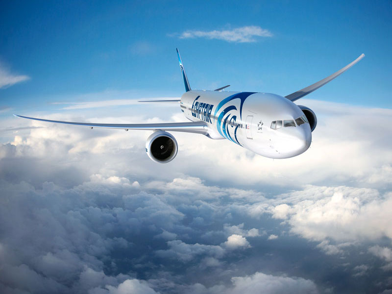 杭州運小鼠的公司